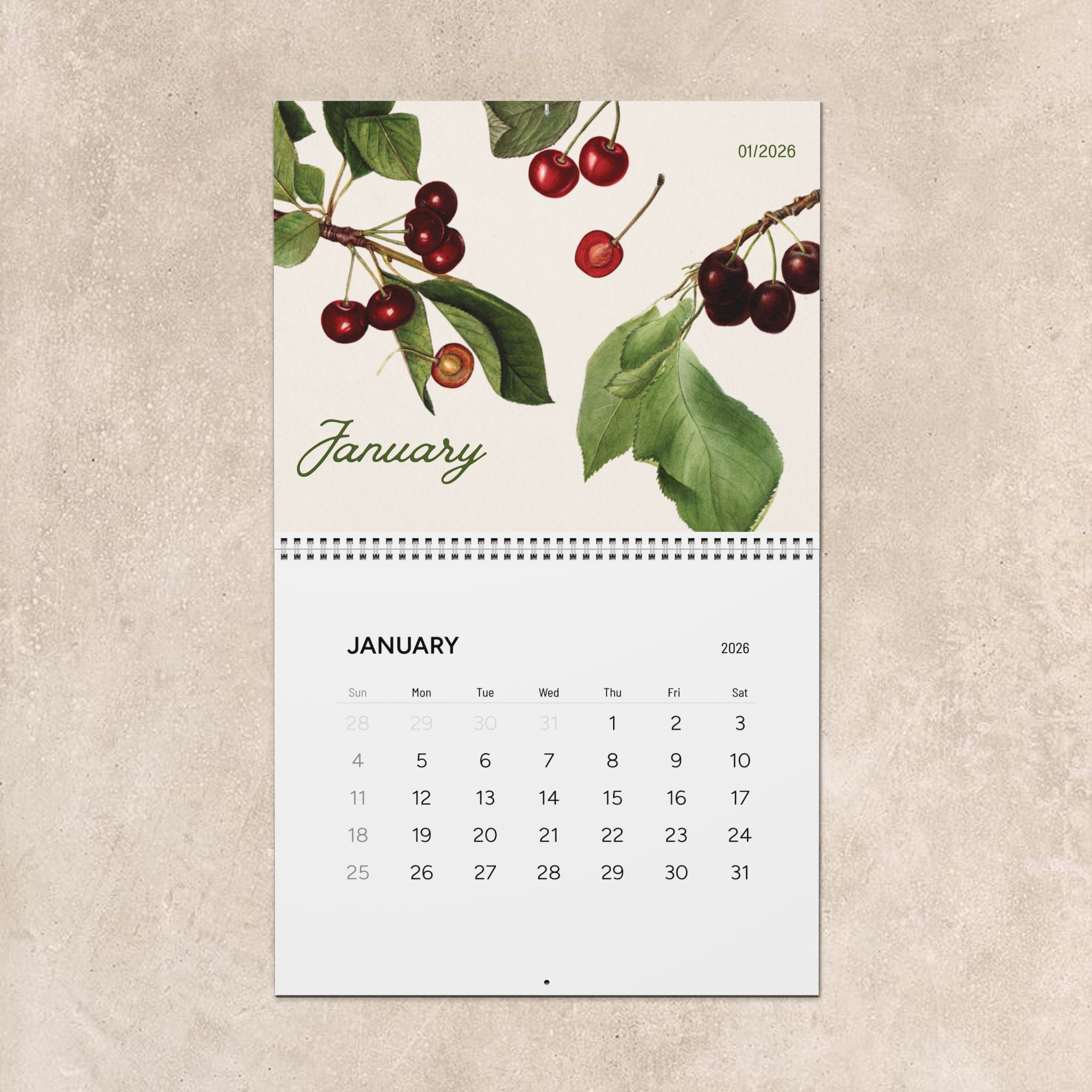 Botanical Fruit Wall Calendar 2026
